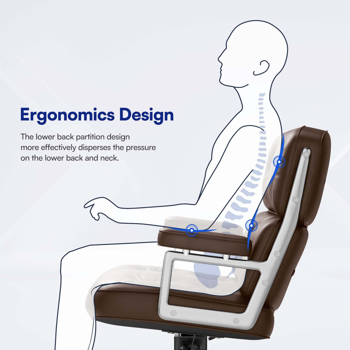 SAINCH ribbed office chair with S-shaped backrest showing back, lumbar and hip support zones
